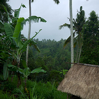 Photo de Bali - Balade, Garuda et spectacle